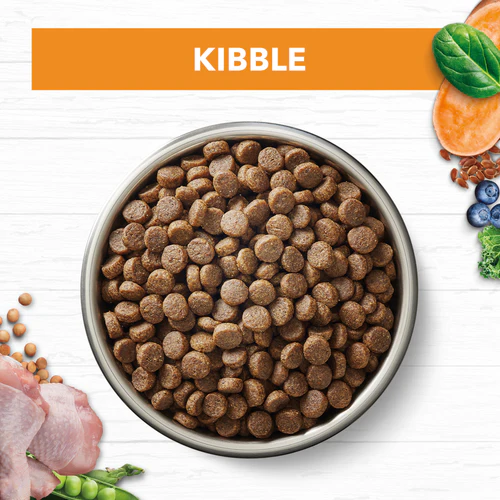 Ivory Coat 2kg Grain Free Kitten - Chicken (004708) 無穀物 雞肉亞麻籽 幼貓糧 (IKC2) 